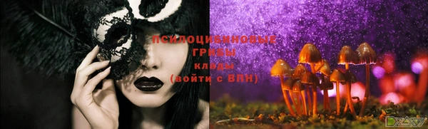 мдма Новодвинск