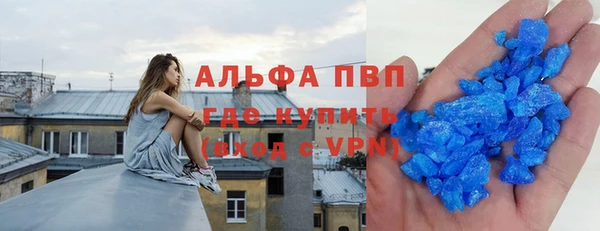 стаф Новокубанск