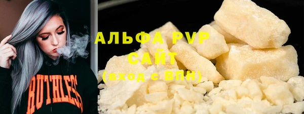 стаф Новокубанск