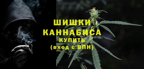 мдма Новодвинск