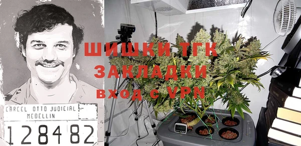 стаф Новокубанск