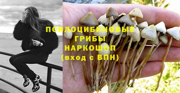 а пвп мука Новозыбков