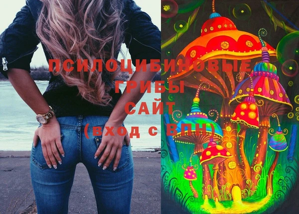 стаф Новокубанск