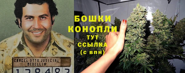 мдма Новодвинск