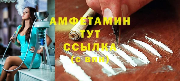 стаф Новокубанск