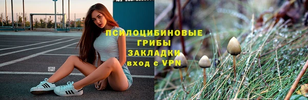 стаф Нефтегорск