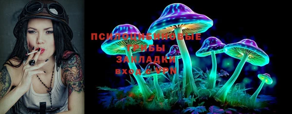 стаф Новокубанск