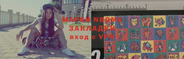 стаф Новокубанск
